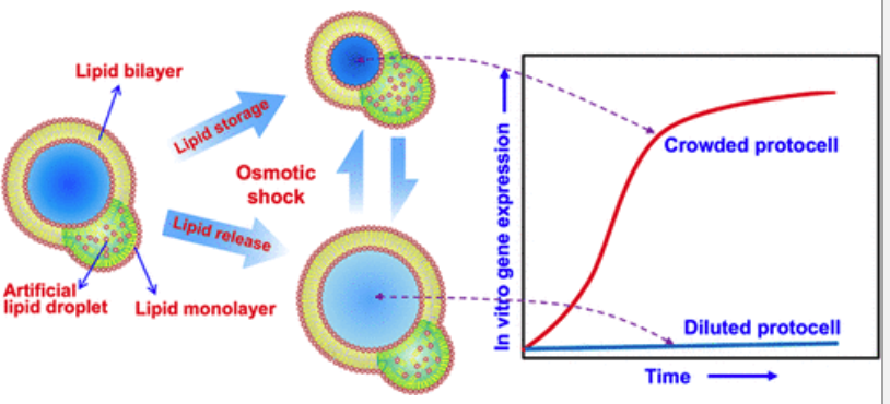 1644378358127305.png 1644378358127305.png