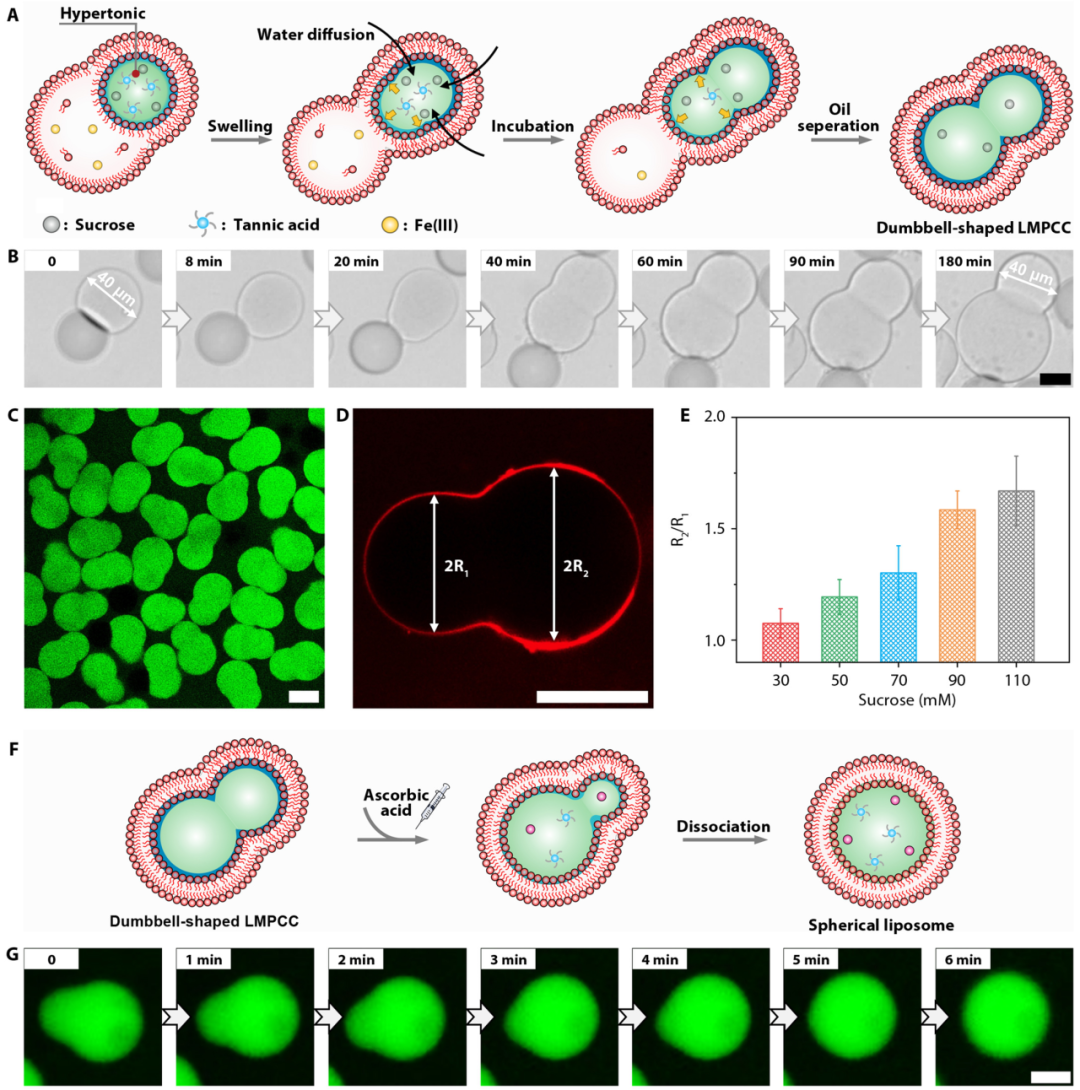 1708565253176799.png 图片 4.png