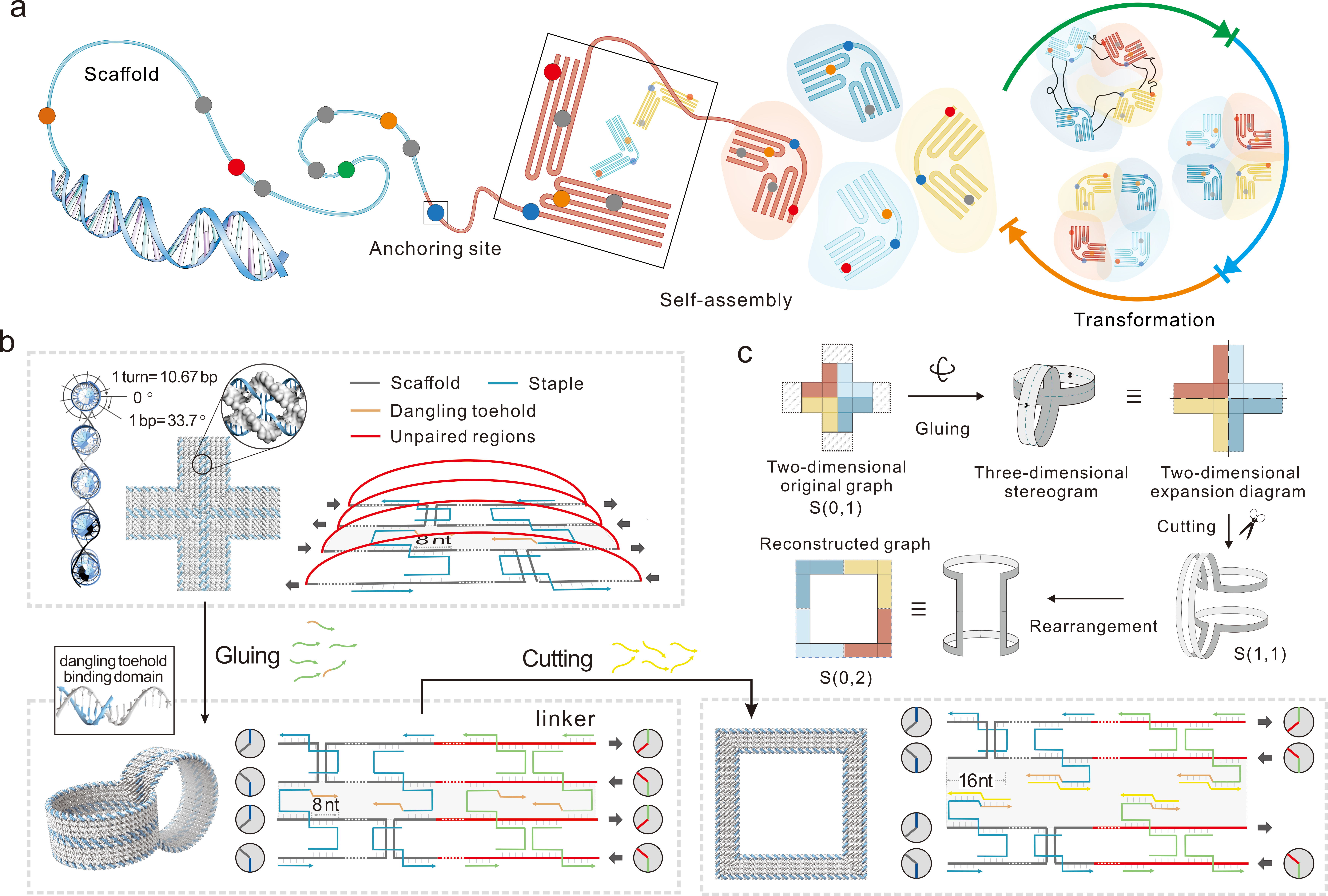 1719240792762259.png 图片1.png