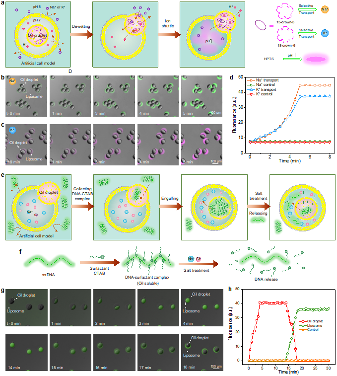 1720170542761680.png 图片 5.png