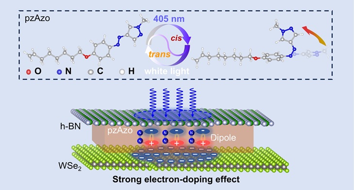 1746778759569090.jpg TOC-final.jpg