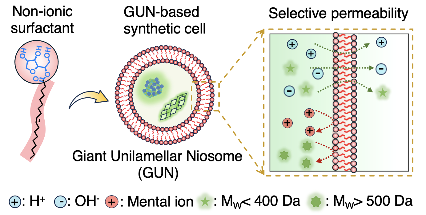 1752284428238955.png 1752284428238955.png